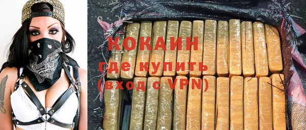 твердый Арсеньев