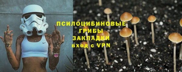 твердый Арсеньев
